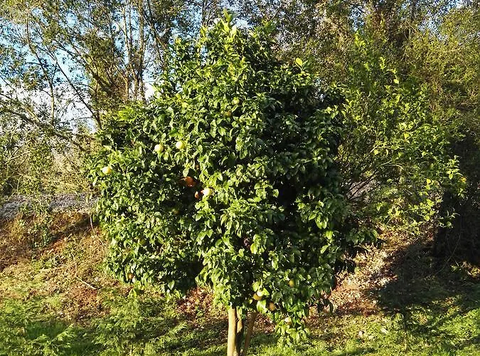 Bed and breakfast El Cuadron