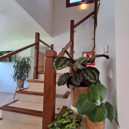 El Cuadron Bed & Breakfast 3*
