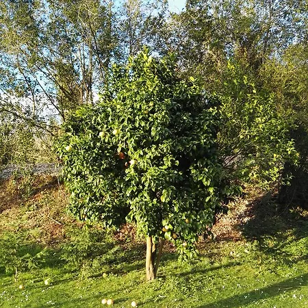 ベッド・アンド・ブレックファスト El Cuadron